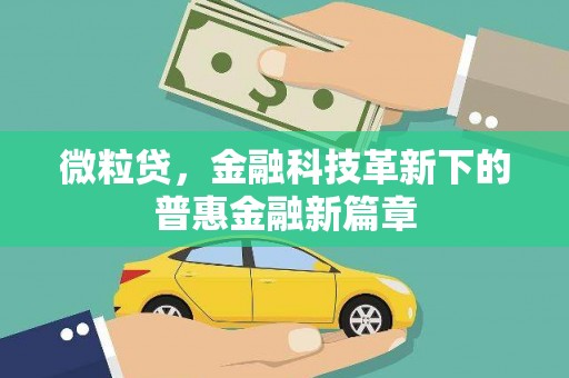 全国微粒贷，金融科技革新下的普惠金融新篇章