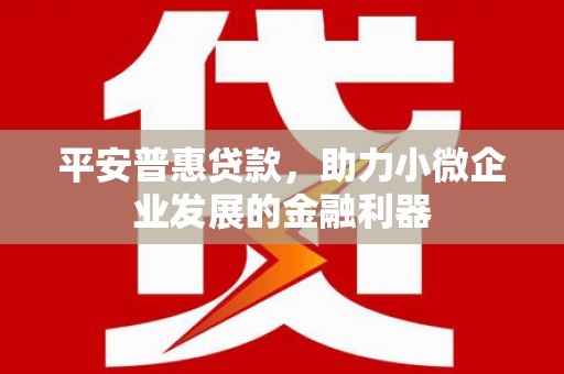 全国平安普惠贷款，助力小微企业发展的金融利器