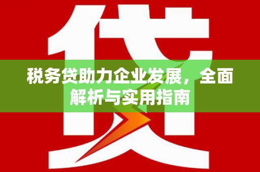 全国税务贷助力企业发展，全面解析与实用指南