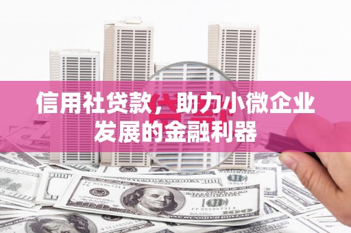 全国信用社贷款，助力小微企业发展的金融利器