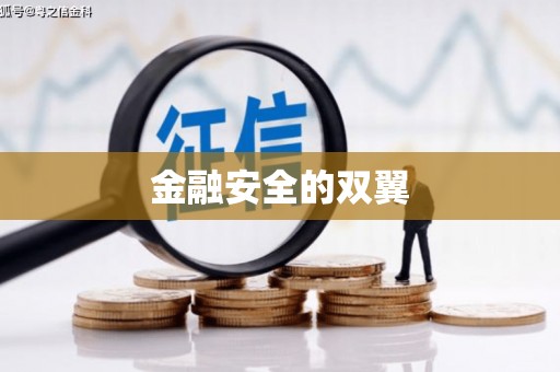全国金融安全的双翼