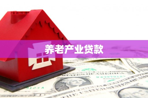 全国养老产业贷款