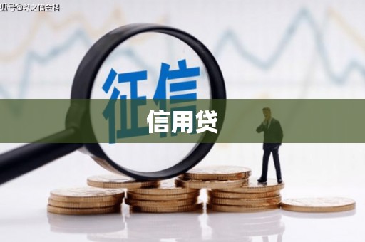 全国信用贷