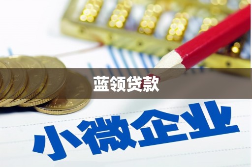 全国蓝领贷款
