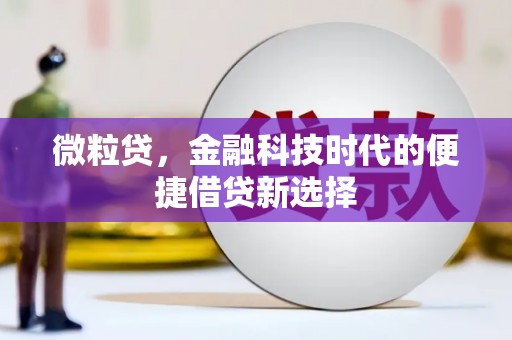 全国微粒贷，金融科技时代的便捷借贷新选择