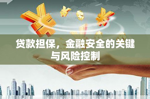 全国贷款担保，金融安全的关键与风险控制
