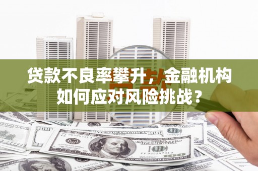 全国贷款不良率攀升，金融机构如何应对风险挑战？