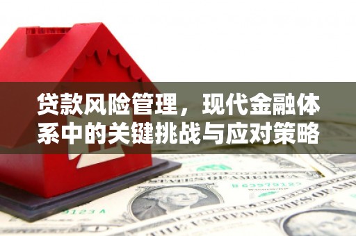 全国贷款风险管理，现代金融体系中的关键挑战与应对策略