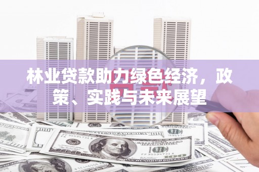 全国林业贷款助力绿色经济，政策、实践与未来展望