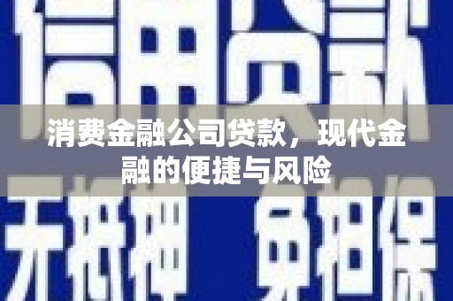 全国消费金融公司贷款，现代金融的便捷与风险