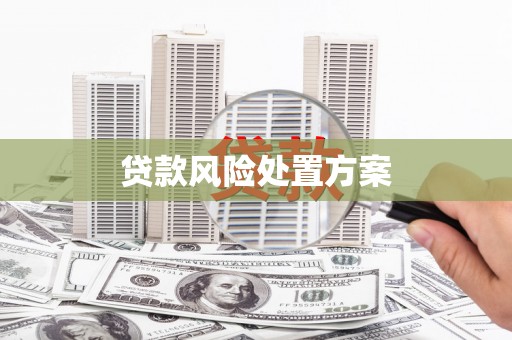 全国贷款风险处置方案