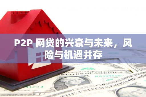 全国P2P 网贷的兴衰与未来，风险与机遇并存
