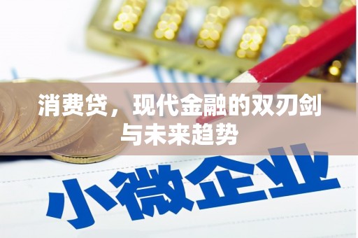 全国消费贷，现代金融的双刃剑与未来趋势