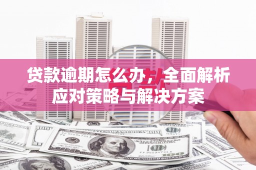 全国贷款逾期怎么办，全面解析应对策略与解决方案