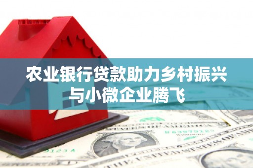 全国农业银行贷款助力乡村振兴与小微企业腾飞
