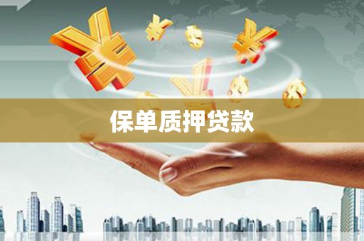 全国保单质押贷款