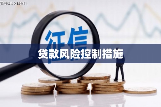 全国贷款风险控制措施
