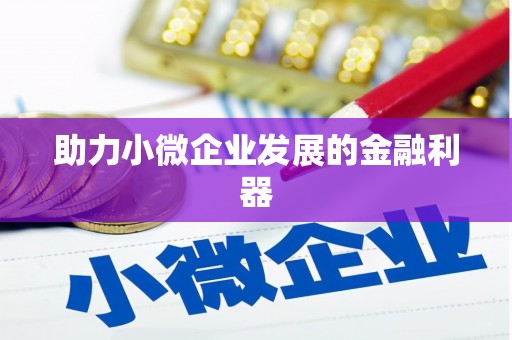 全国助力小微企业发展的金融利器