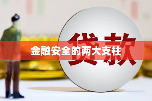 全国金融安全的两大支柱