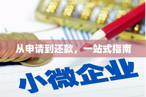 全国从申请到还款，一站式指南