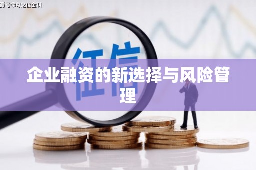 全国企业融资的新选择与风险管理
