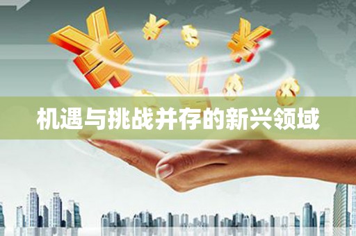 全国机遇与挑战并存的新兴领域