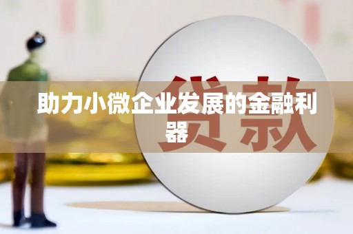 全国助力小微企业发展的金融利器