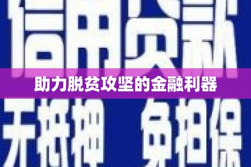 全国助力脱贫攻坚的金融利器