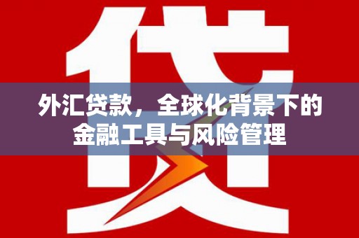 全国外汇贷款，全球化背景下的金融工具与风险管理