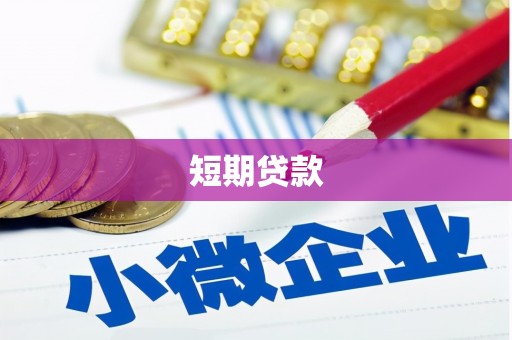 全国短期贷款