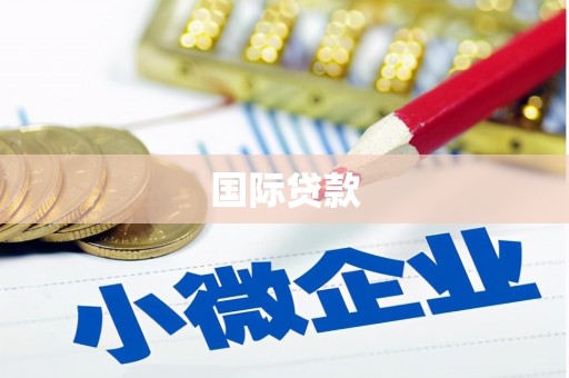 全国国际贷款